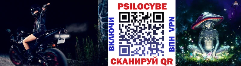 Купить закладки  Шагонар  Псилоцибиновые грибы Magic Shrooms 